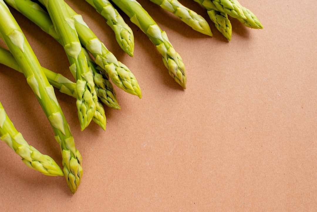 Best High Fiber Foods: A Simple Guide to Boosting Your Daily Intake