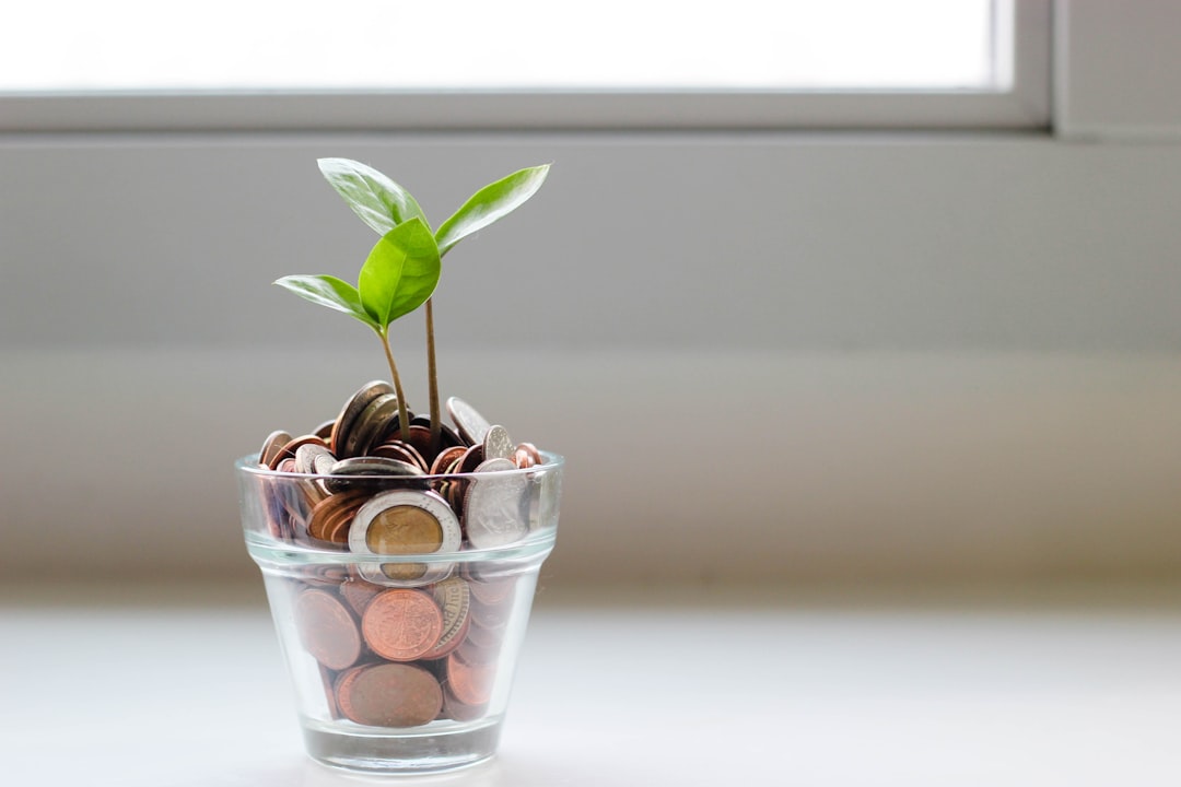 How to Start Investing for Beginners: A Simple First Step Guide