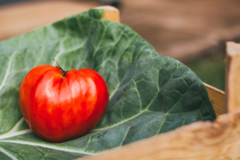 FOR THE LOVE OF FOOD: Big Food and EU eliminate plastics and waste, rubber and wood found in Tyson nuggets, and portion control still wins the weight loss game